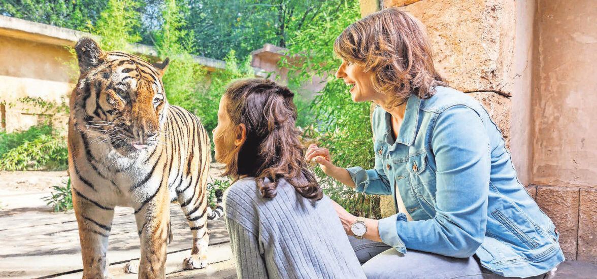 Read more about the article Design Thinking @ Zoo Hannover