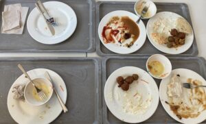 Read more about the article Workshop Day 1 – Arrival, Project Planning and Lunch